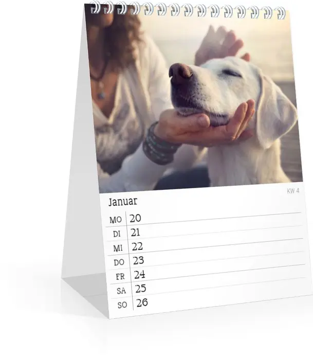 Product preview