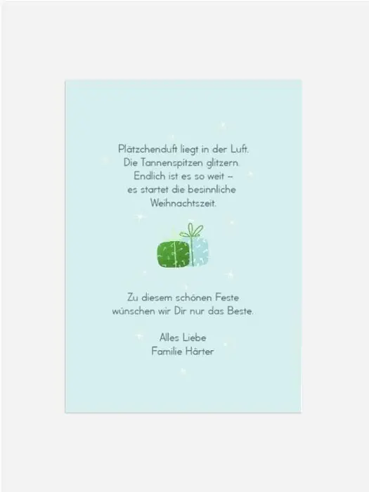 Product preview