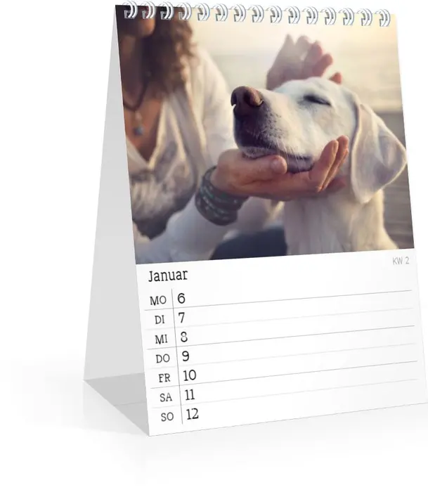 Product preview