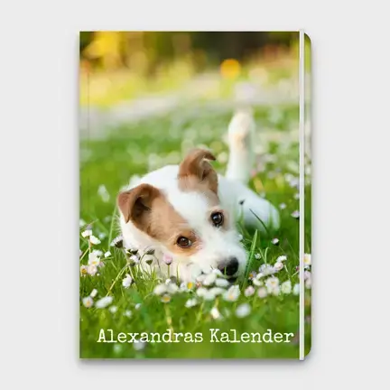 Lehrerkalender Softcover